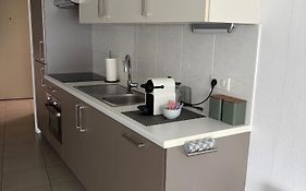 Gezellig modern appartement met optie garagebox en in de buurt van strand, winkels en restaurants